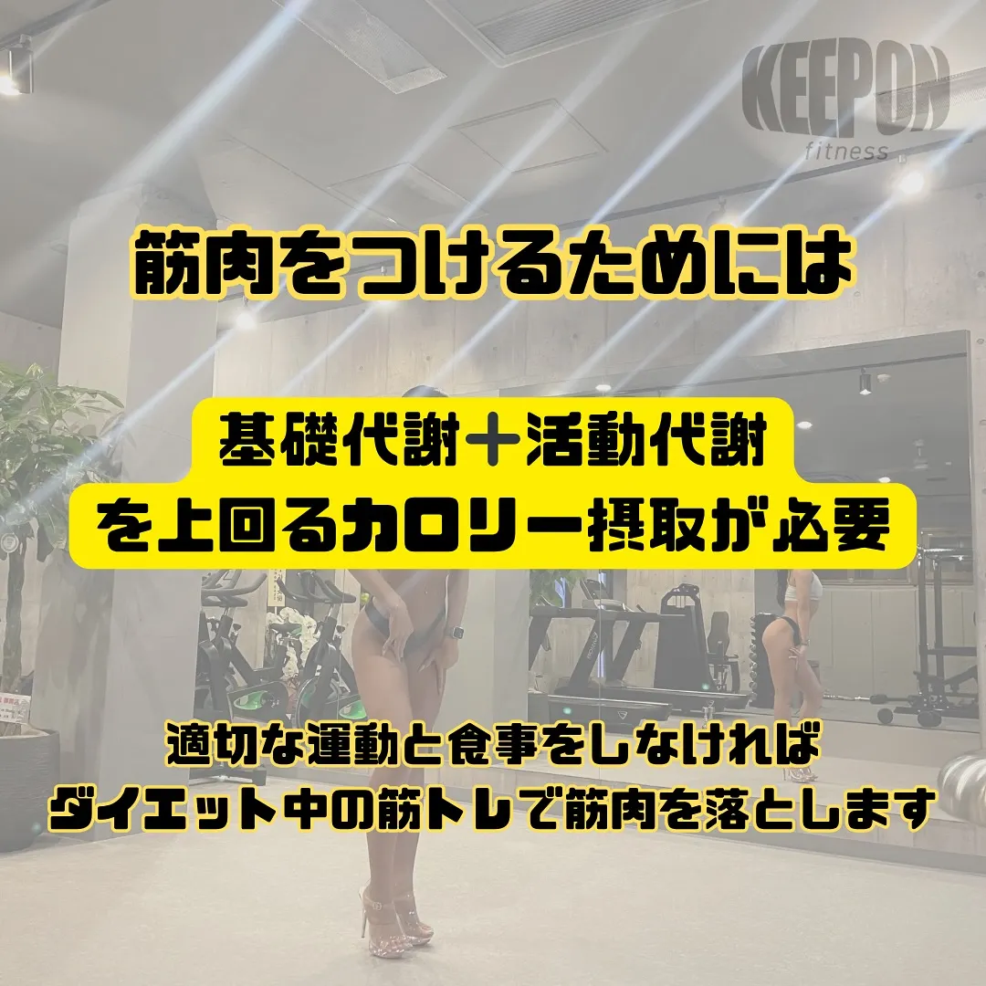 ダイエット中は筋肉をつけるのは極めて難しい😓