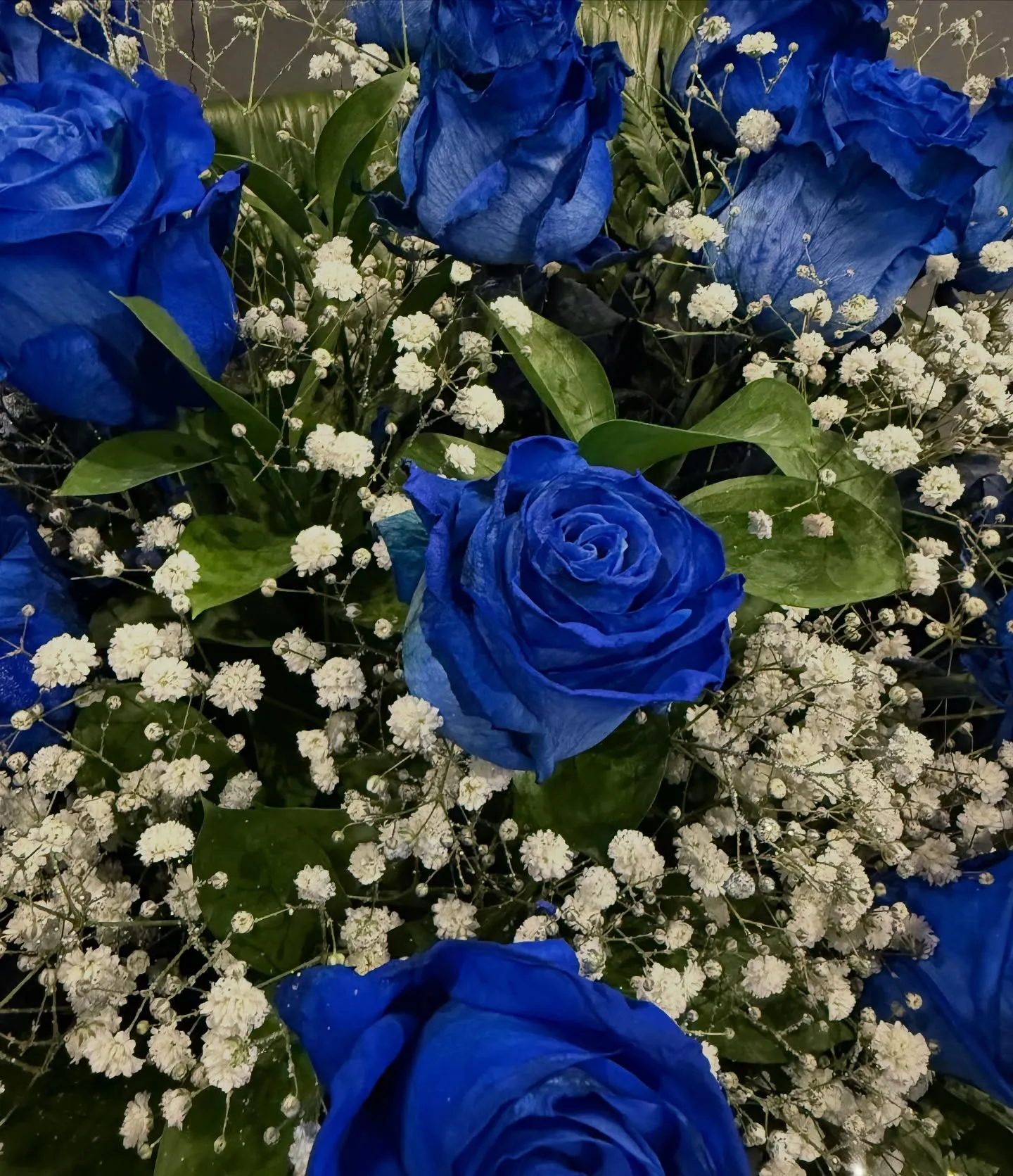 素敵なお花を贈っていただきました💐✨