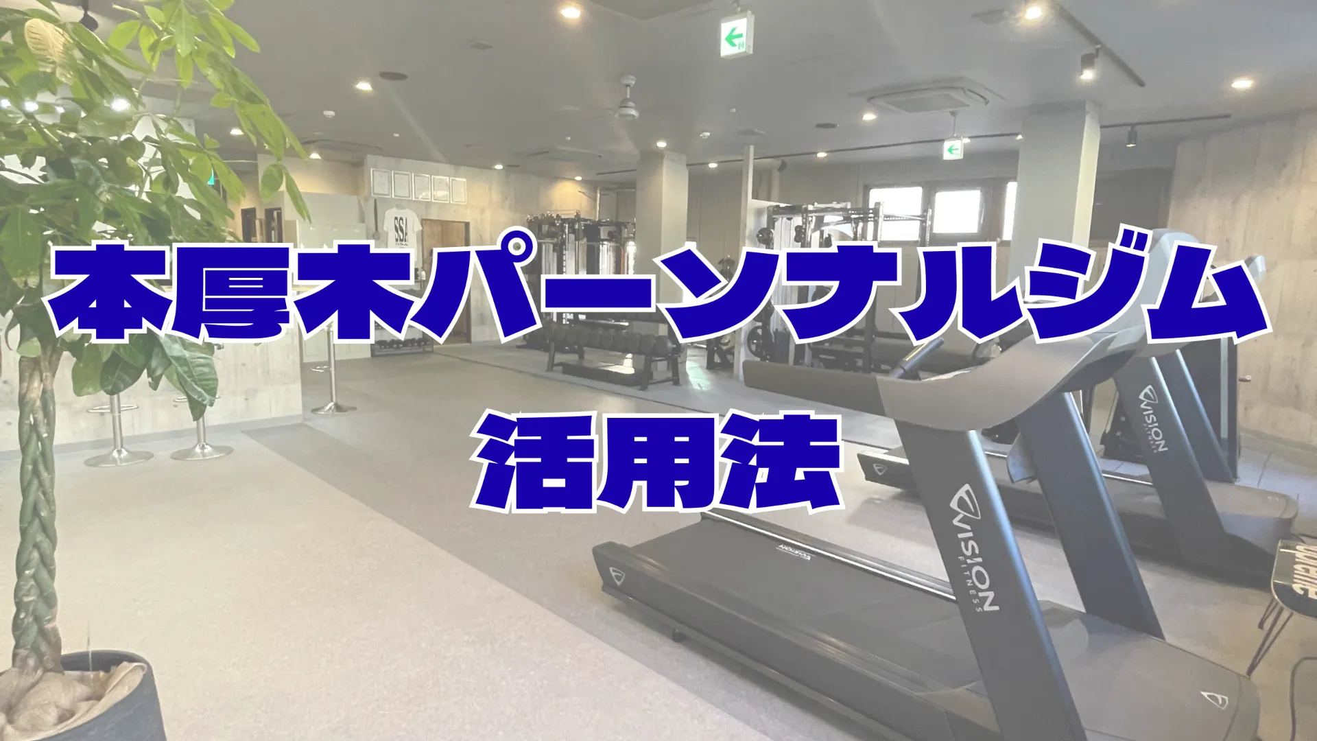 ダイエット方法を神奈川県厚木市で実践メリットと本厚木パーソナルジム活用法